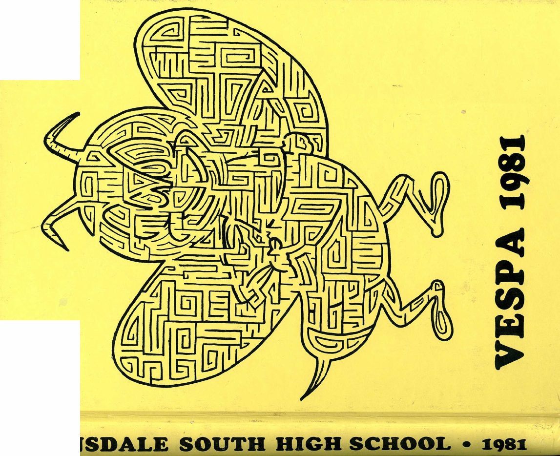 1981 Hinsdale South yearbook cover